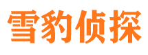 珙县市调查公司